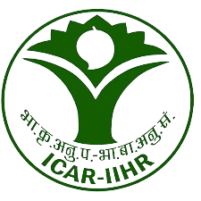 Government Logo